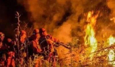 森林防火小知识