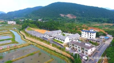 崇阳：“小丫书记”的大手笔