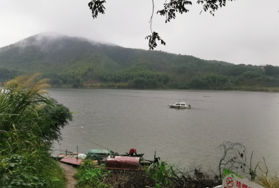 崇阳洪下村：五户连片，美景赏不停……