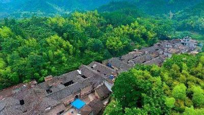 【崇阳美文】李专：崇阳有个回头岭——写意王世杰