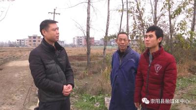 你好，国家一级保护动物白鹤“做客”崇阳！