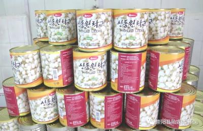 下一站，韩国！崇阳藠头“逆袭”日韩