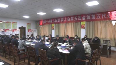 县人大代表分团审议《崇阳县人民政府工作报告》和大会各项报告