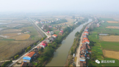 《是这个理》：湖北荆州中河村的硬核力量