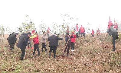 崇阳：春光无限好 植树正当时