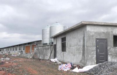 杜兵调研生猪标准化养殖场建设