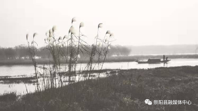 【百年红色崇阳⑧】洪下劫船，崇阳农军打响鄂南秋暴第一枪