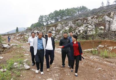 县人大常委会机关党员深入路口镇开展党史学习教育