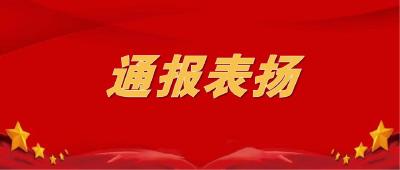 点赞！崇阳4个集体和4名个人获通报表扬