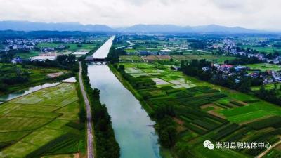 再登央视！崇阳甜蜜事业  丰收在望