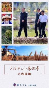 习近平的小康故事|“中国人的饭碗任何时候都要牢牢端在自己手上”