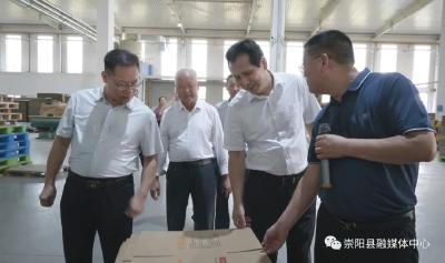 王兆民到崇阳县调研“万企兴万村”助推乡村振兴工作