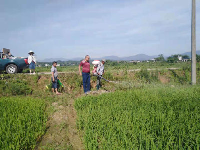 崇阳县农业农村局组织农技人员下乡指导农户开展农作物病虫精准防治
