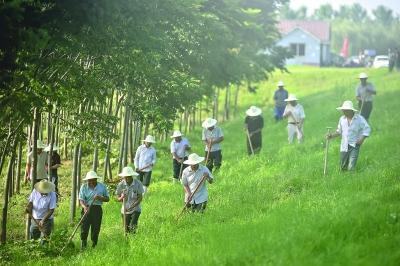 25360人巡查汉江干堤 发现处置9处一般险情