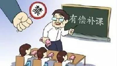 教育部：坚决查处！ 