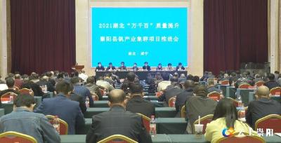 湖北“万千百”质量提升暨崇阳县钒产业集群项目推进会召开