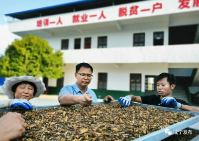 优秀！崇阳3个地理标志在全省获奖