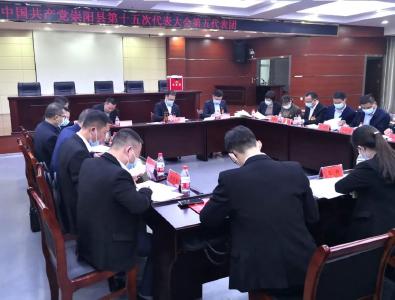 中国共产党崇阳县第十五次代表大会分团开展活动