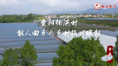 崇阳杨洪村：能人回乡为乡村振兴赋能——经济·生活㉚