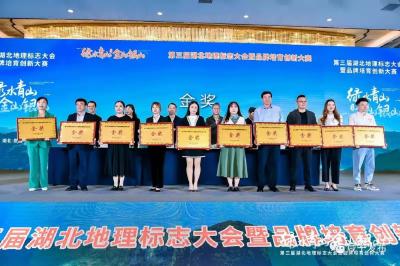 全省获奖，崇阳3个！