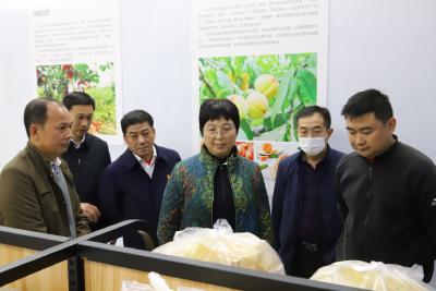 省人大常委会党组书记、常务副主任王玲来崇阳调研乡村振兴工作