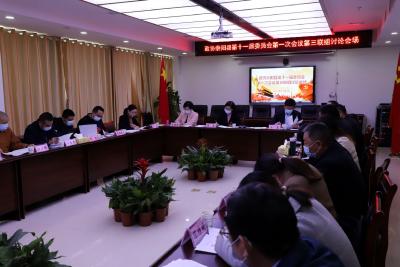 政协崇阳县第十一届委员会第一次会议分联组讨论