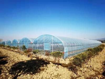 续写千年古镇新篇章 再创经济发展新辉煌 ——访崇阳县白霓镇党委书记谭其军