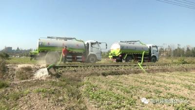 【记者乡村行㊴】崇阳：粪肥还田利用 让“肥水”不外流