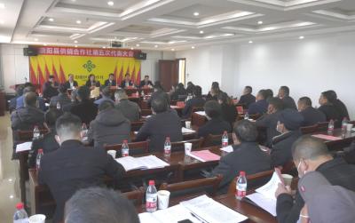 崇阳县供销合作社选举产生新一届理事会、监事会