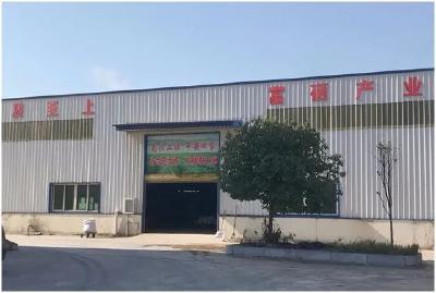 优化营商环境 | 崇阳：优惠+补贴 财险“礼包”助企业抗风险