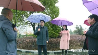 吴刚到崇阳县调研林长制工作