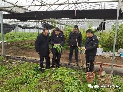 崇阳县农业农村局发布关于防范应对强降雪和低温冻害的工作提示