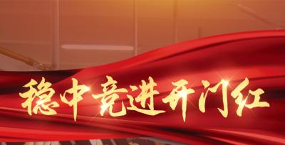 崇阳：以项目出彩促全年精彩——拉练进行时