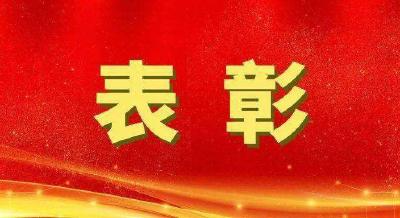 喜报！崇阳1集体1人荣获全省表彰