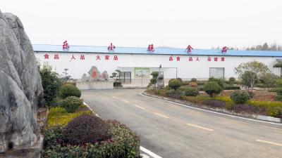 新年新动力  崇阳这家企业千万订单生产忙