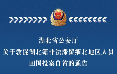 4月30日前投案自首，可从轻或减免处罚！