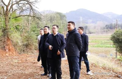 郑俊华调研林长制工作时强调：坚持“一树一策” 强化属地管理 保障古树名木健康生长