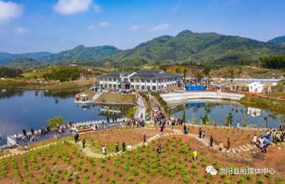 【新春走基层⑯】牡丹小镇  美丽西庄