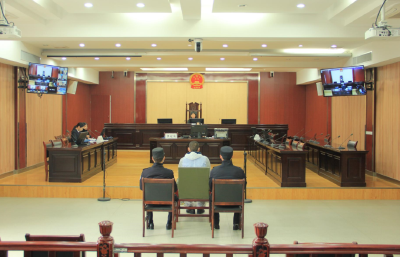 崇阳县法院：院长开庭！两起刑事案件当庭宣判