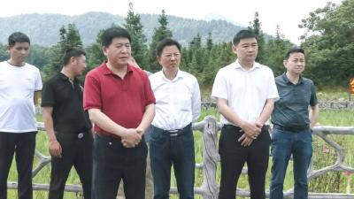 黄石市考察团到崇阳县考察乡村振兴工作