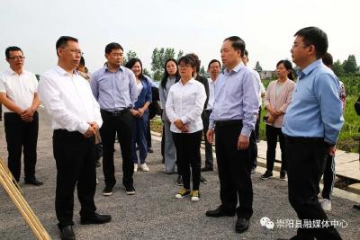 民盟湖北省委调研团到崇阳开展乡村振兴实践基地调研活动