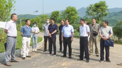 咸宁市全域国土综合整治项目实施督导现场推进会在崇阳县召开
