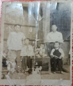 【崇阳美文】甘明华：自行车