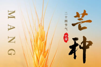 芒种 | 不忘播种 收获希望