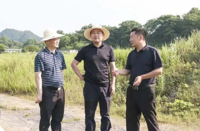 下基层 察民情 解民忧 暖民心│徐望深入沙坪镇问需于民 纾困解难