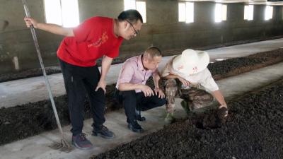 【记者乡村行（100）】崇阳：变“污”为肥  这个绿色种养循环项目在全县示范推广