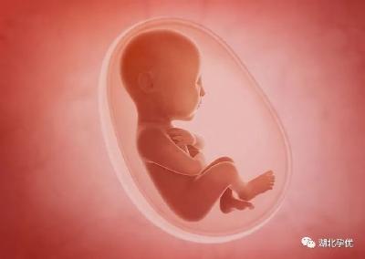 收藏转发| 全省婚前医学检查和孕前优生健康检查定点单位地址电话都在这里