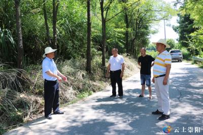 崇阳县路口镇：清除公路杂草障碍   保障群众出行安全