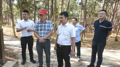 团省委乡村振兴帮扶点考察组到崇阳县考察乡村振兴工作