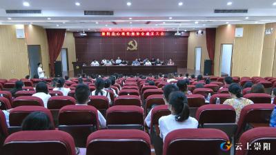 崇阳县心理咨询协会成立